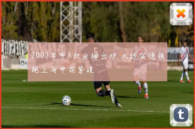 2003年甲A积分榜出炉 大连实德领跑上海申花紧追