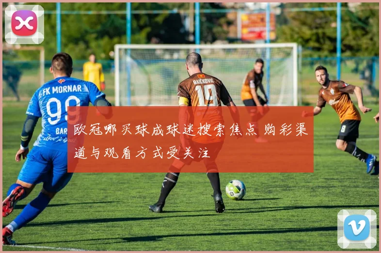 欧冠哪买球成球迷搜索焦点 购彩渠道与观看方式受关注