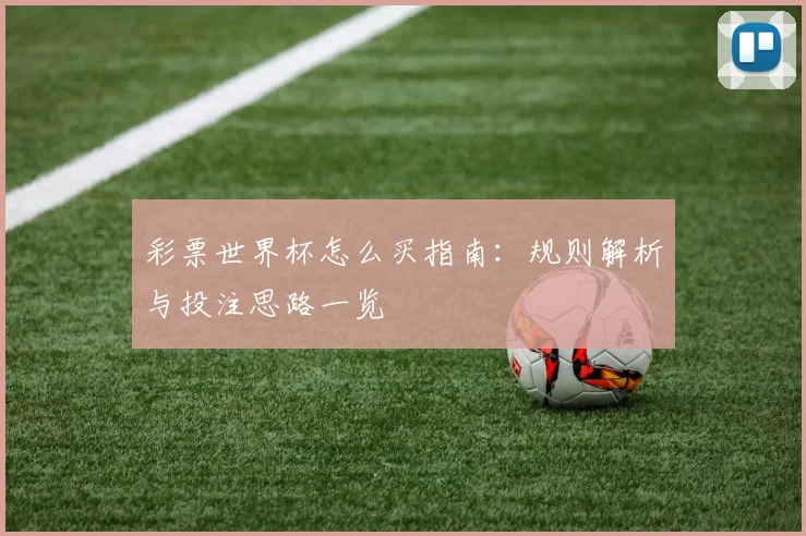 彩票世界杯怎么买指南:规则解析与投注思路一览